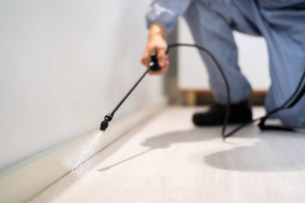 Rodent Entry Point Assessment in Plano