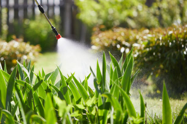 Tamper-Resistant Bait Stations for Rodents in Plano