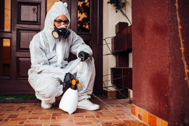 Attic and Crawl Space Rodent Treatment in Plano